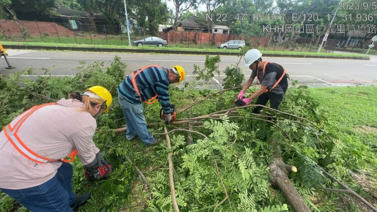 ▲海葵颱風造成高雄市樹木倒塌共600餘件，8百多處公園綠地多有樹木倒伏，工務局全力投入搶修，預計今晚全部公園恢復休憩機能，明晚大型枝條全部清理完成。(圖／高市府提供)