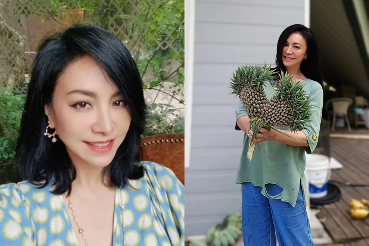 ▲田麗近幾年逐漸淡出演藝圈，並回到家鄉台東當起農場果農，她日前曬出海葵颱風侵襲農場的慘況，11秒畫面相當恐怖。（圖／翻攝自田麗臉書）