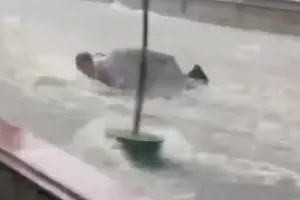 香港暴雨成災！西裝男過馬路當街被水沖走　網嘆：社畜用命在上班
