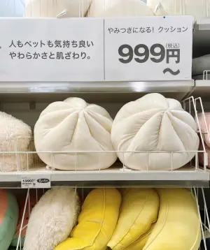 ▲大型QQ肉包超級逼真，在日本、中國引發討論。（圖／截取自小紅書@日本搜集好物）