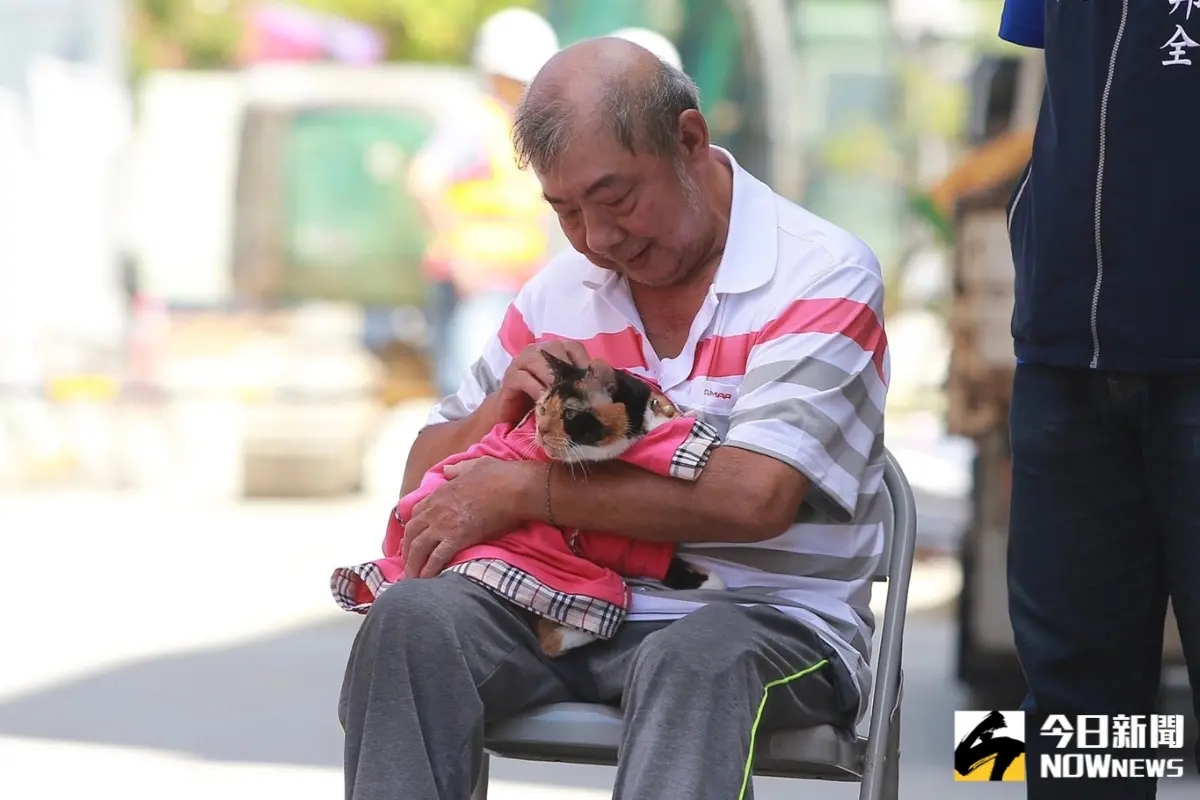▲大直民宅坍塌第三天，三花貓「阿花」原本受困其中，今早獲救與飼主重逢啦！（圖／記者葉政勳攝）