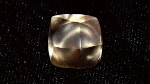 坐到大禮！美7歲女孩慶生遊州立公園　幸運發現2.95克拉鑽石
