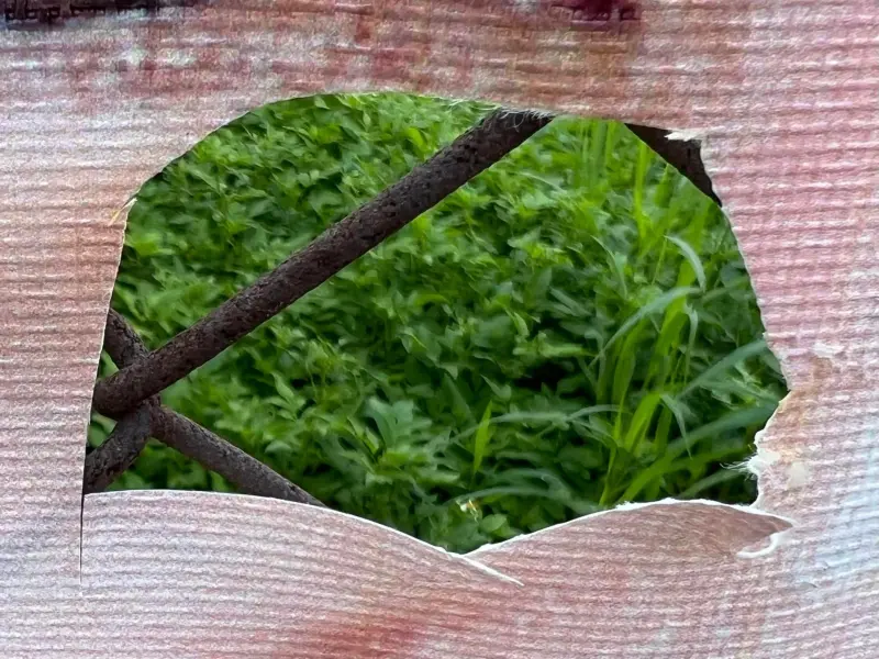 ▲范綱祥的競選布條被人用利器割出一個破洞。(圖/翻攝范綱祥臉書)