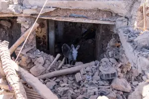 摩洛哥強震近2700死　傳統建物降低尋獲生還者機率
