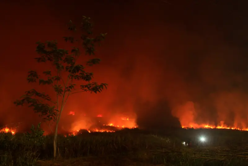 ▲受到聖嬰現象影響，印尼出現4年來最乾旱的天氣，連日高溫、野火頻傳。（圖／美聯社／達志影像）