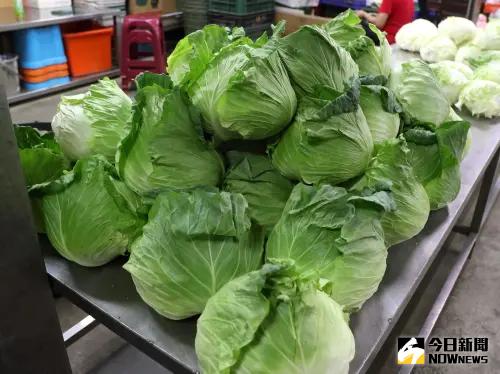 高麗菜別只會清炒!日本媽媽進階煮法超神:小孩掃光、比餐廳好吃