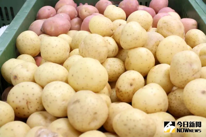馬鈴薯發芽還能吃嗎？專家揭「毒性增6倍」　安全存放正確作法曝