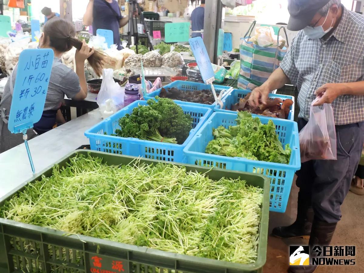 釋冷凍進口蔬菜釀菜價重摔？農糧署駁：現在仍屬合理價格