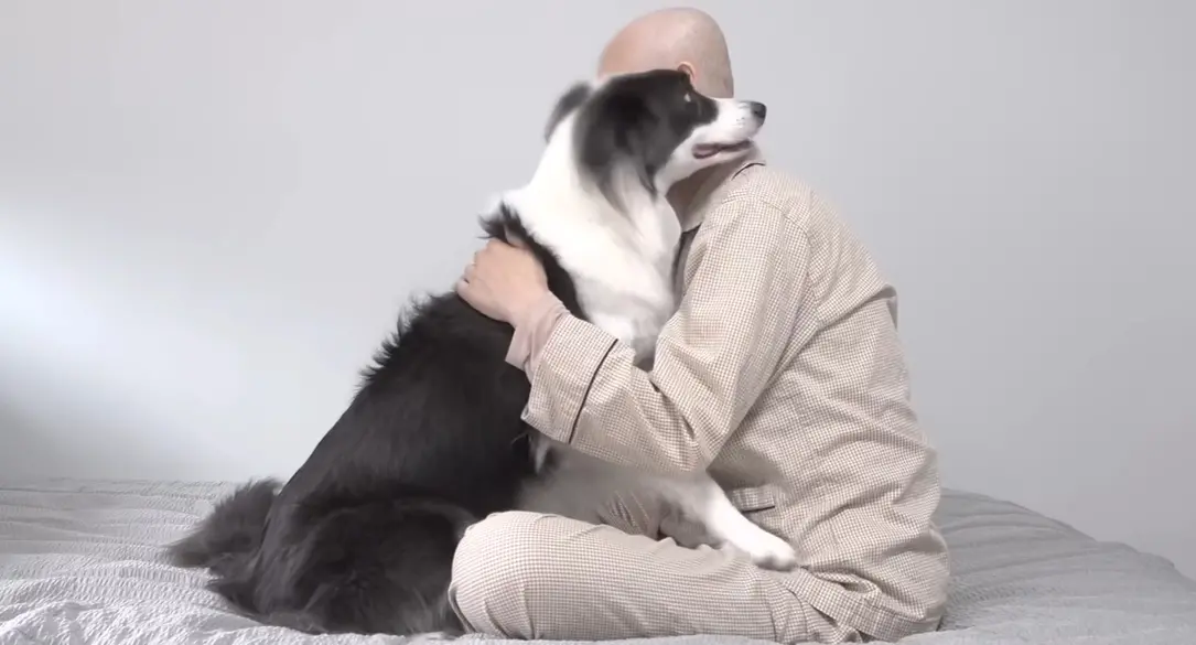 ▲韓國邊境牧羊犬Sola一見媽媽拆下帽子，露出因化療而剃光頭髮的頭部，先是驚愕地直盯媽媽看，緊接著衝上前給媽媽一個大擁抱安慰。（圖／YouTube@From SOLA）