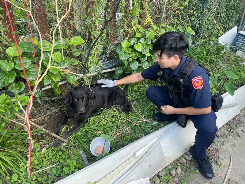 ▲黑狗被繩子纏住無法脫困，戒心很重，員警先是以食物安撫黑狗。（圖／龜山分局提供）