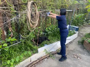 ▲黑狗情緒穩定後，員警再剪斷繩子終於讓黑狗脫困。（圖／龜山分局提供）