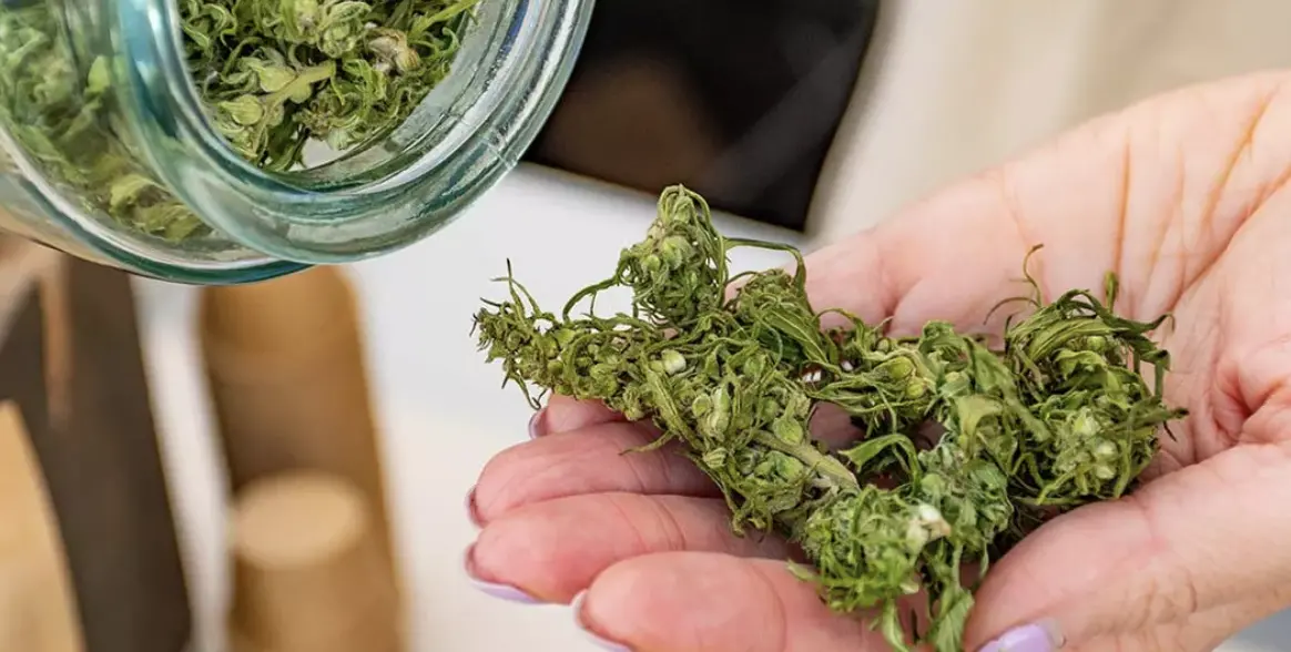 ▲泰國成為東南亞第一個大麻合法化的國家，帶起「大麻商機」。（圖／翻攝自The Star）