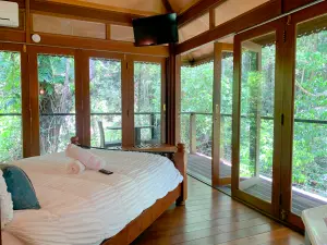▲造訪澳洲「凱恩斯」，可居住在雨林中的「Cairns Rainforest Retreat」。（圖／Booking.com提供）
