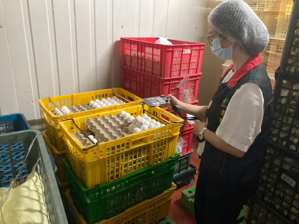 ▲台中市政府教育局啟動專案稽查，學校午餐團膳業所使用的液蛋、洗選蛋的產地來源(圖／教育局提供2023.9.18)