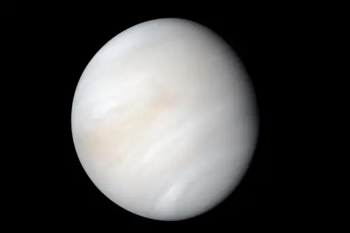 「金星」明天達最大亮度！想不看到都難　天文館揭觀賞、拍攝秘訣
