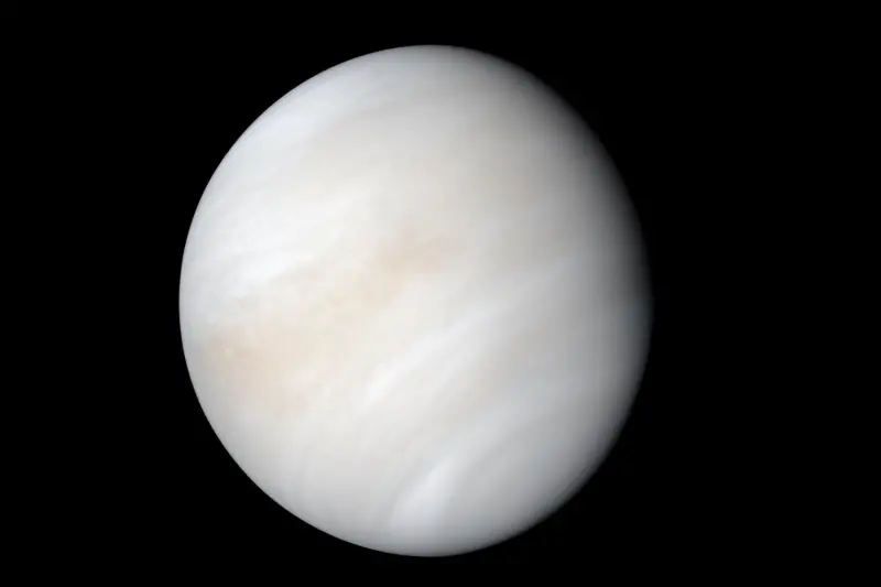 ▲太陽系8大行星中，亮度最亮的金星將在明（19）日達到今年最後一次的最大亮度。（圖／台北市立天文館提供）