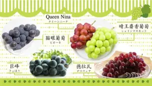 ▲日本5大人氣葡萄品種。（圖／日本台灣交流協會）