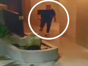 屏東加油站女廁偷拍　警方循線鎖定變態狼
