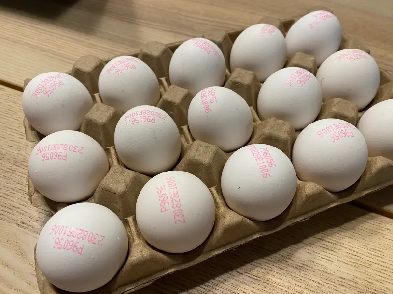 ▲近期進口蛋爆發效期爭議，民眾擔心買到不新鮮的蛋，專家教7招選離「壞蛋」，若發現蛋整顆浮在鹽水上，代表它可能已經臭掉了。（示意圖／記者徐銘穗攝）