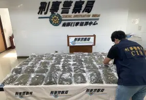 花蓮山區搜槍！警方意外查獲21公斤重大麻　市值近4000萬元
