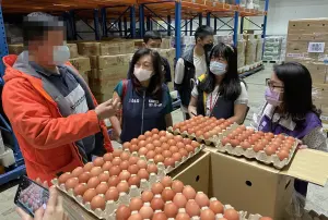 桃市府追查進口蛋源頭　今查獲逾149萬顆即期蛋出貨六縣市
