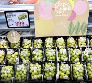 家樂福開賣日本麝香葡萄「一盒399元」！全聯6款蔬菜特價限時4天
