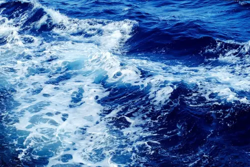 聯合國歷史性公海條約將簽署　保護海洋生態系統

