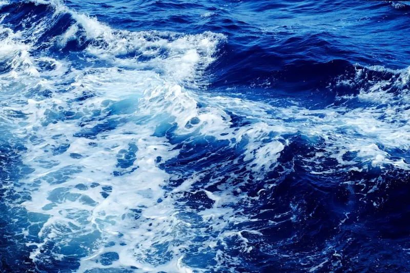 ▲數十個國家將於今天簽署一項保護公海的歷史性協議，希望這項目的在保護對地球至關重要的生態系統協議能夠盡快實施。（示意圖／翻攝自Pixabay）