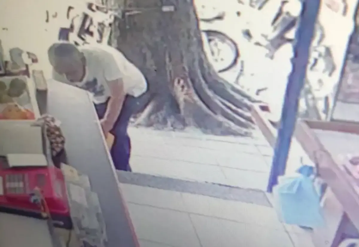 ▲台北市松山區民生社區一位阿伯到蔬果行買地瓜，結果買到有毒的地瓜，所幸還未下肚。（圖/翻攝畫面）