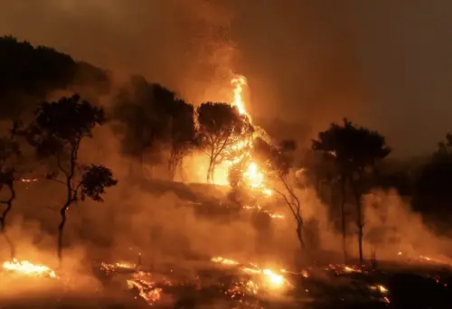 澳洲昆士蘭州野火肆虐毀30屋　當局促數千民眾速撤離

