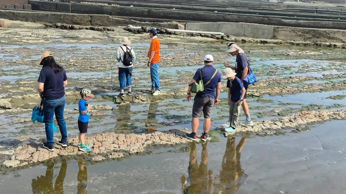 ▲民眾探索馬崗潮間帶生態。（圖 ／新北市政府漁業處提供）