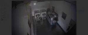 Ruby在運輸車內的監視器畫面。(圖/方先生提供) ▲Ruby在運輸車內的監視器畫面。(圖/方先生提供)