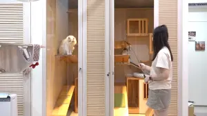 貓旅館為了降低寵物焦慮,而特別規劃的籠位空間。(攝/記者康仲誠) ▲貓旅館為了降低寵物焦慮,而特別規劃的籠位空間。(攝/記者康仲誠)