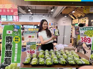 不過比拼各大通路售價,最便宜的是愛買量販的日本麝香葡萄每公克只要1元台幣,第二名低價的是全聯的每公克1.11元 ▲不過比拼各大通路售價,最便宜的是愛買量販的日本麝香葡萄每公克只要1元台幣,第二名低價的是全聯的每公克1.11元
