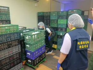 維仕捷隱匿進貨標示不實　7萬多顆巴西蛋流入桃園

