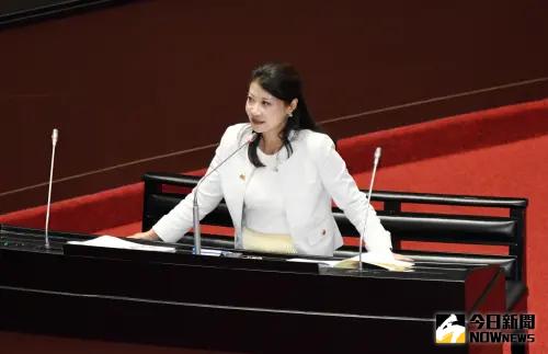藍拋「離島自經區」待審 林楚茵:「共赴國難」把台灣往中國推
