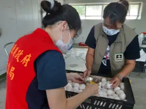 屏東縣衛生局清查學校午餐蛋品來源　並無使用液態蛋
