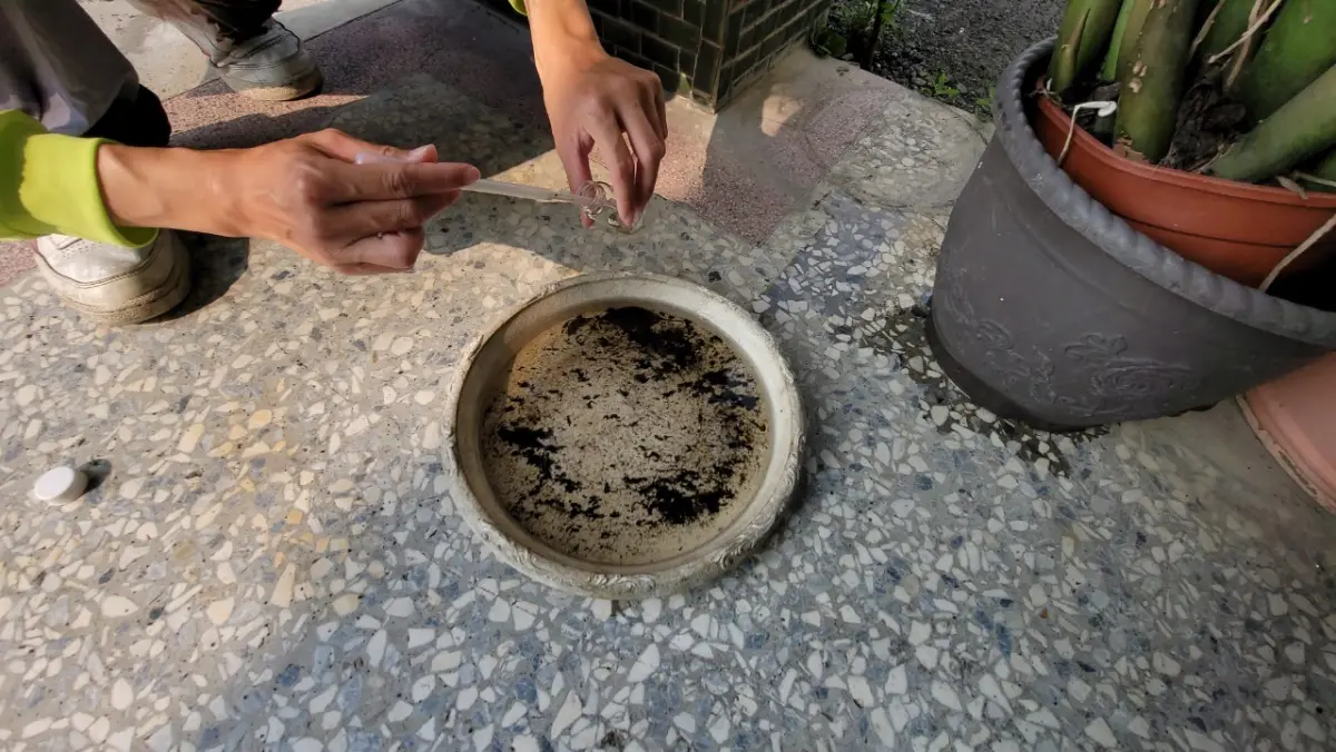 ▲查獲花器底盤積水孳生源。（圖／高雄市政府衛生局提供）