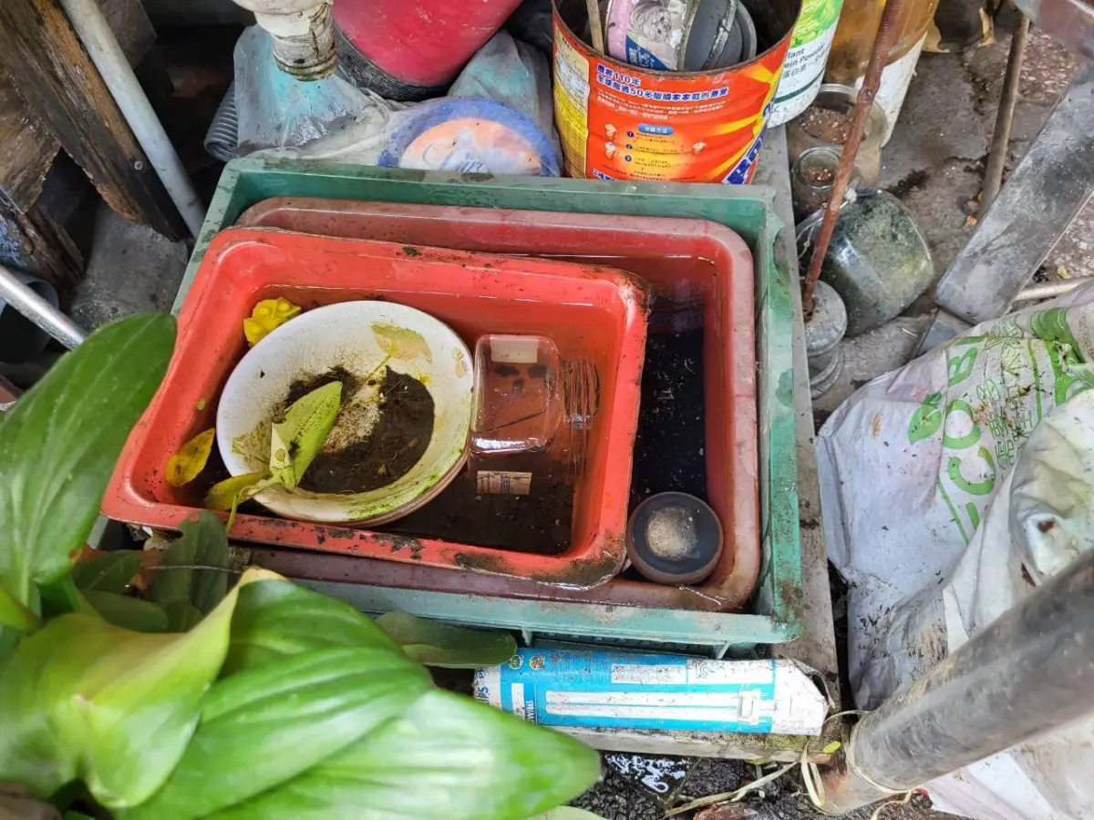 ▲積水容器少量的水即足以讓病媒蚊繁殖。（圖／台南市政府提供）