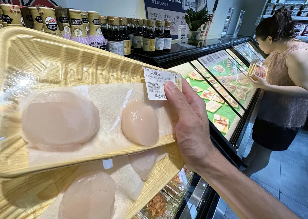 高市早苗惹怒北京 中國再禁日水產！北海道扇貝業者：不覺得困擾