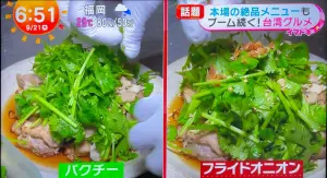 ▲日本美食節目版「台灣雞肉飯」，上面香菜滿到幾乎看不見雞肉，讓嘉義人崩潰。（圖／X@TakaEriEvoX）