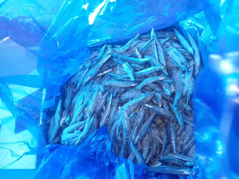 ▲食藥署於邊境查驗檢出一批日本進口的冷凍丁香魚，重金屬含量超標，後續將依規定退運或銷毀。（圖／食藥署提供）