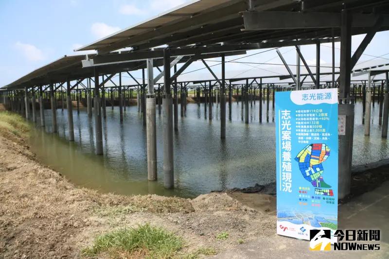 ▲大亞旗下志光能源85MW漁電共生示範案場啟動儀式今日舉行,現場嘉賓共同見證生態、養殖與綠電三方共好的綠能發電典範。(圖/攝影記者陳明中)