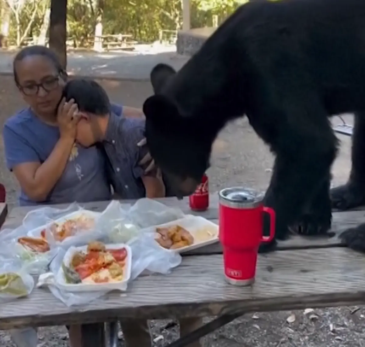 ▲墨西哥一名媽媽與兒子在公園舉辦慶生餐會時，意外遇到黑熊闖入，機智的母親選擇安靜摀住兒子的雙眼，不叫不逃、不驚擾黑熊進食，最後平安脫險。（圖／擷取自影片）