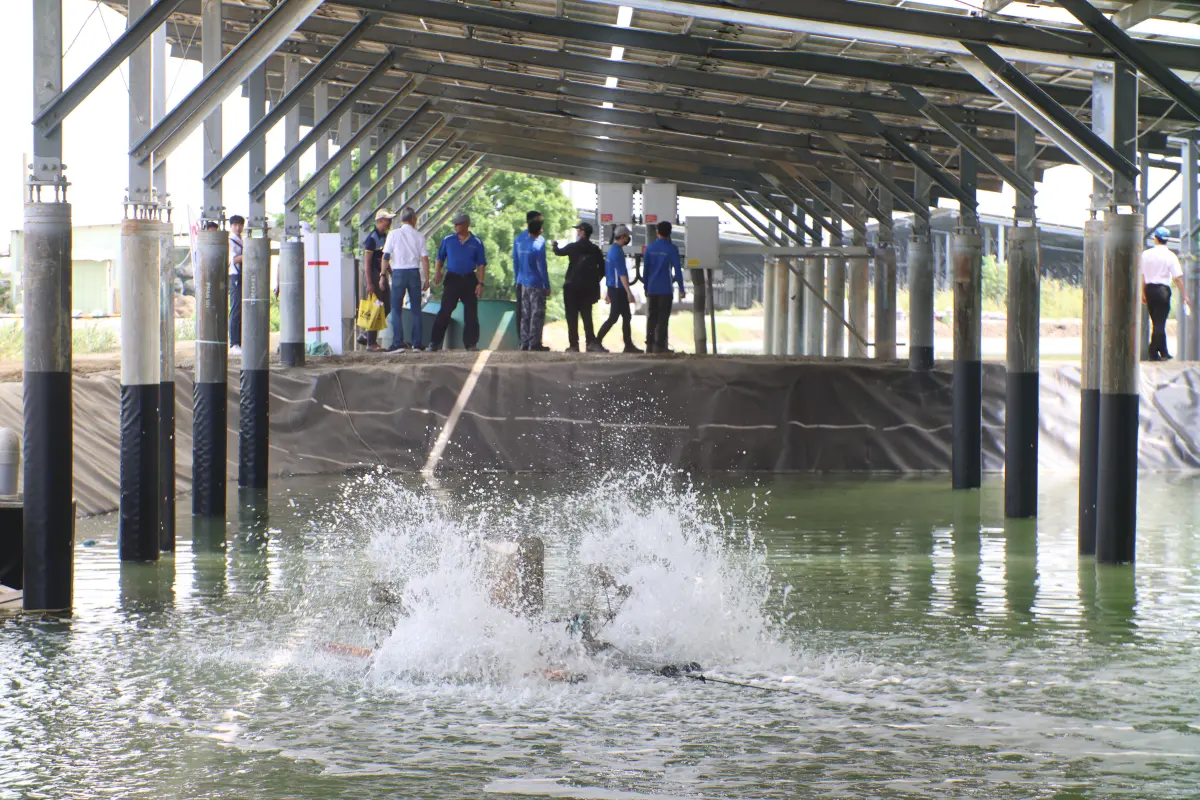 經濟部能源署4日召開內部會議，擬針對「漁電共生」的光電計畫推動新制，也就當養殖狀況不佳時，可由養殖協會進場輔導，確保光電及漁貨並存。（圖／取自NOWnews圖庫）