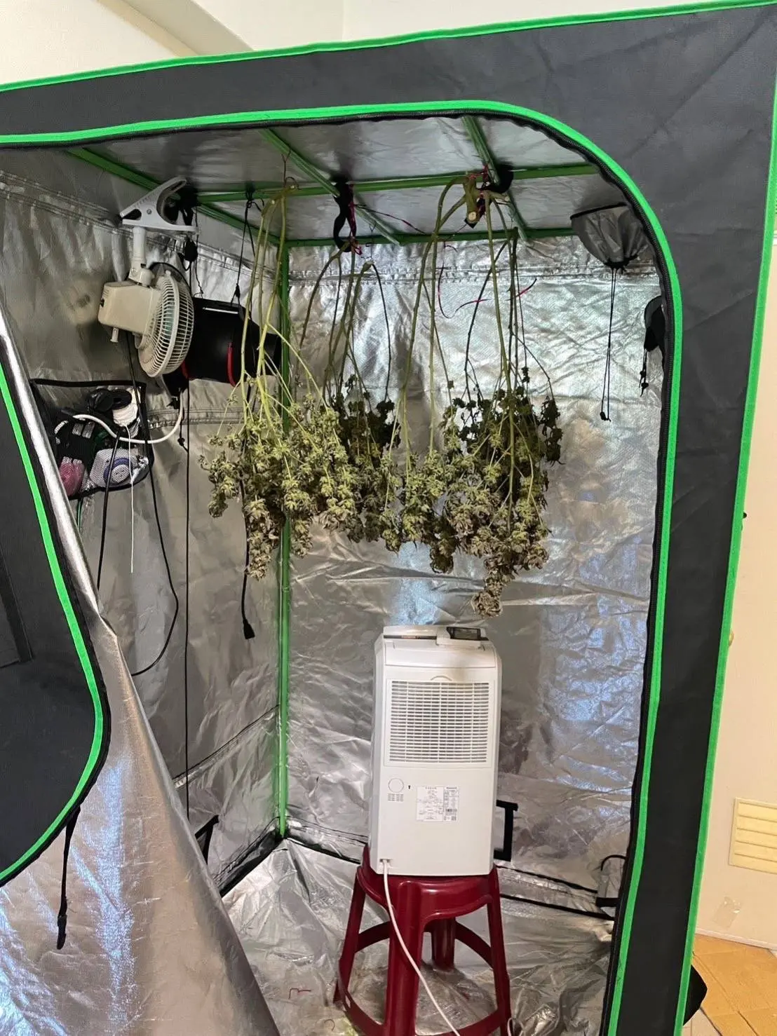 ▲陳姓越南移工兼大麻小農，在廢棄建築的衣廚內種大麻。（圖/記者鄧力軍翻攝）