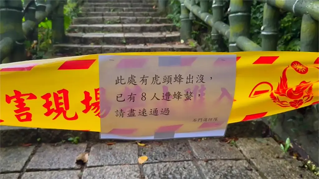 ▲今（1）日下午1時，新北市烏來「內洞森林遊樂區」許才發生蜂螫事件，事發不到2小時，有8名遊客在前往新北市石門區青山瀑布路上，同樣慘遭蜂螫，，跑到大馬路邊求援。（圖／翻攝畫面）