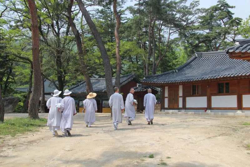 ▲「寺廟寄宿」體驗近年在韓國日趨盛行。（示意圖與文中人物無關／取自免費圖庫Pixabay）