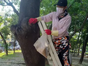 台南工務局中秋後加強公園巡檢嚴堵病媒蚊 
