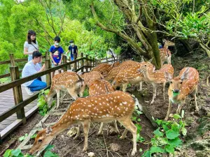 ▲高雄壽山動物園，適合全家大小一同前往。（圖／高雄市觀光局提供）